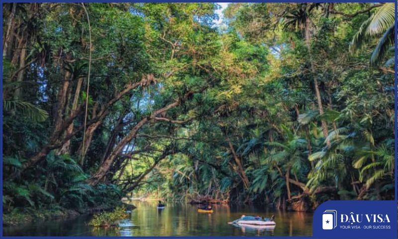 Rừng mưa Daintree, Queensland